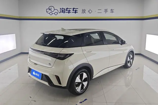 BYD dolphin Fashion edition