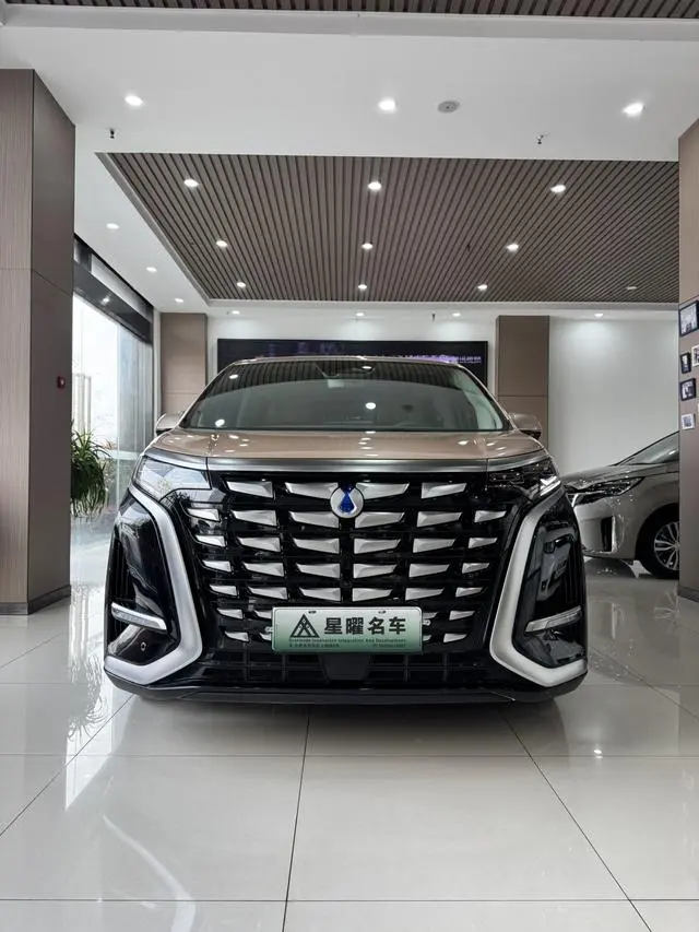 Denza Denza D9 DM 980 four-wheel drive flagship