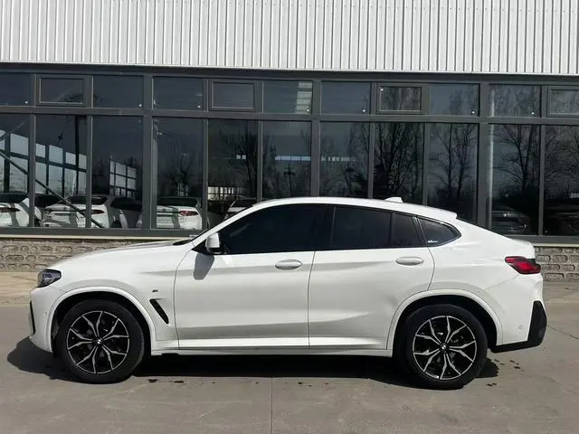 BMW BMW X4 xDrive 25i M sports suit