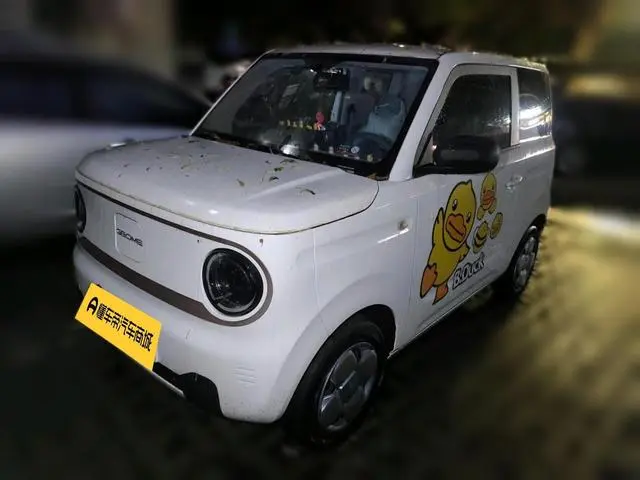Geely Galaxy panda 200km panda mini endurance bear
