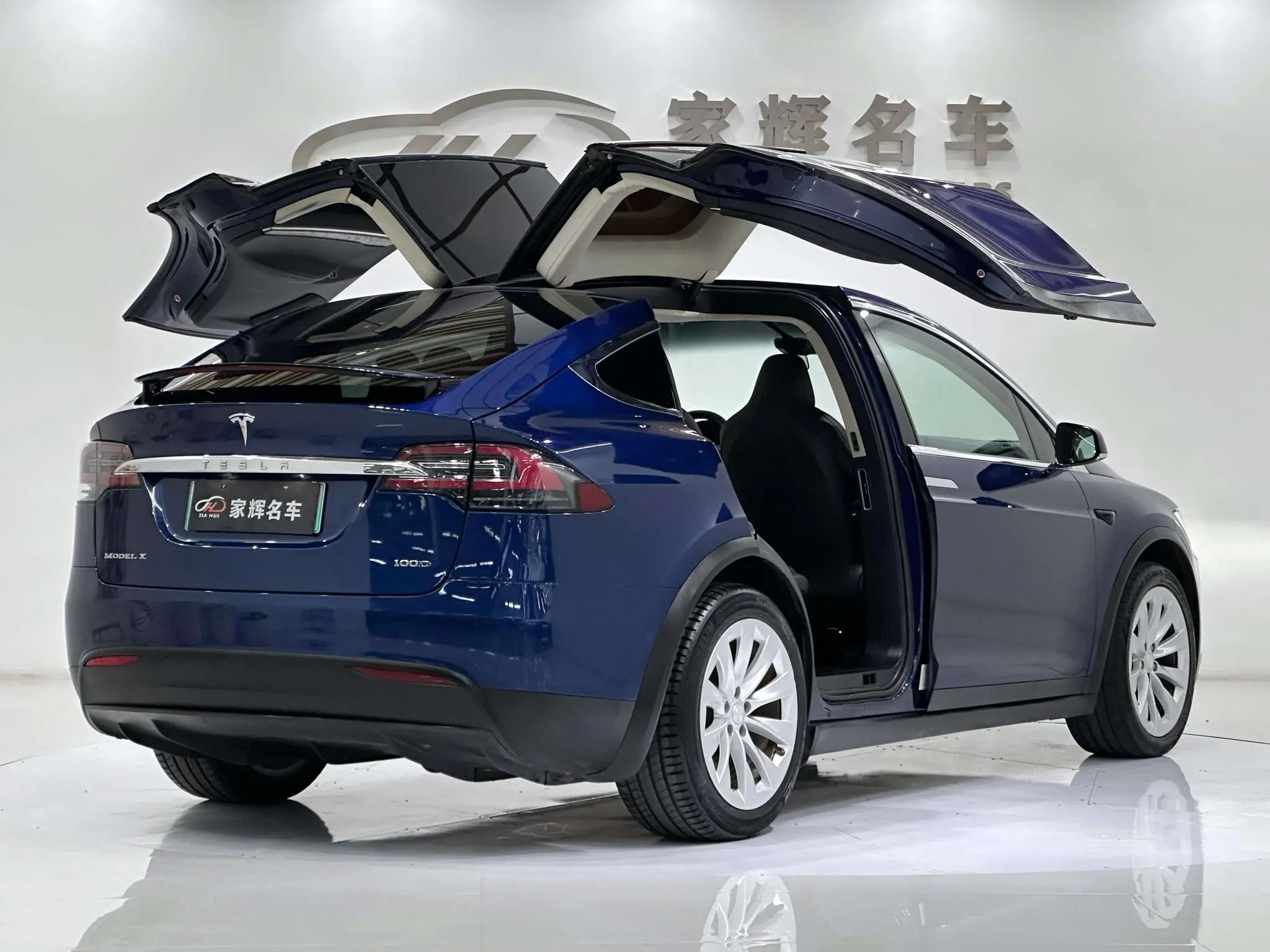 Tesla Model X 100D long battery life version