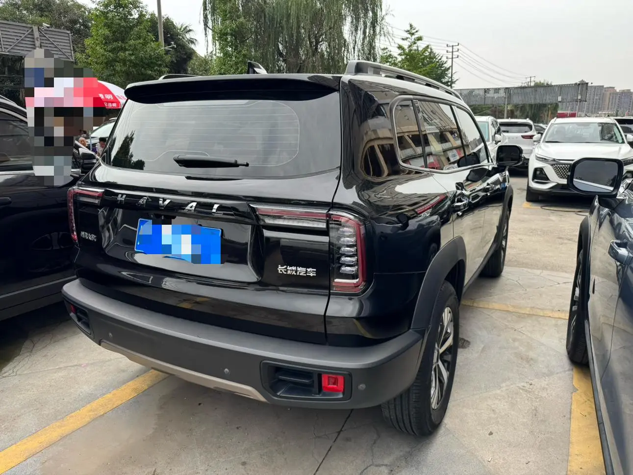 Haval Haval Big Dog 1.5T two-wheel drive Labrador version