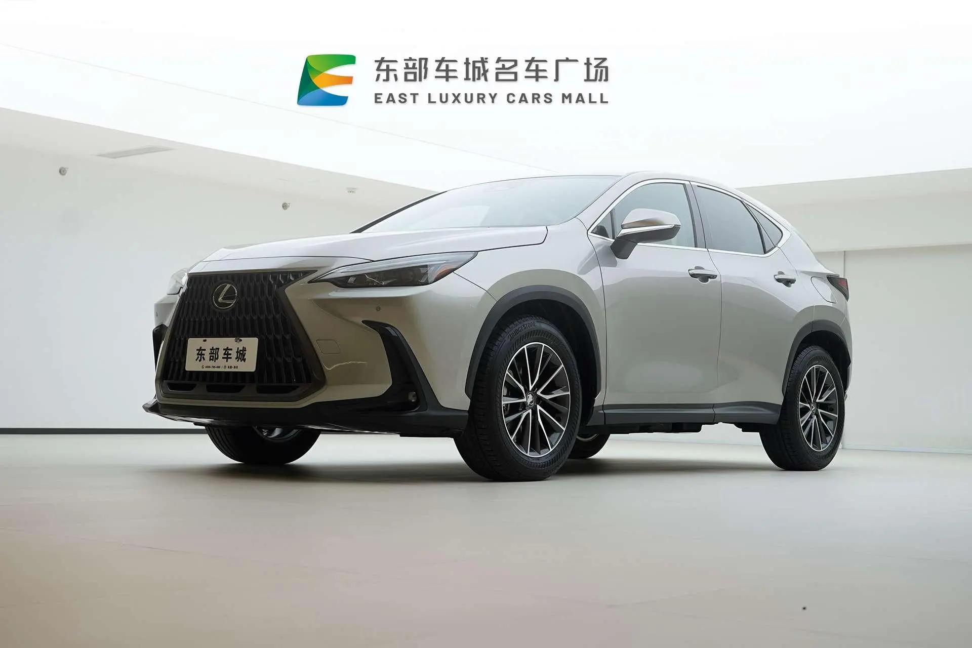 Lexus Lexus NX 350h front drive Chuangyue Edition