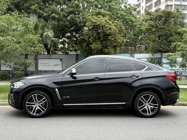 BMW BMW X6 xDrive35i Luxury