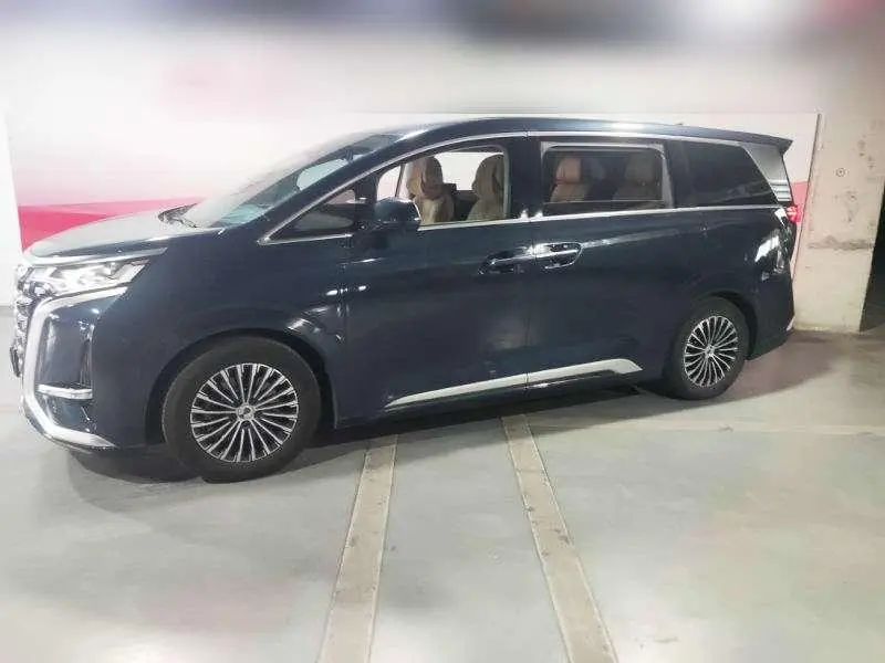 Denza Denza D9 DM 980 four-wheel drive flagship