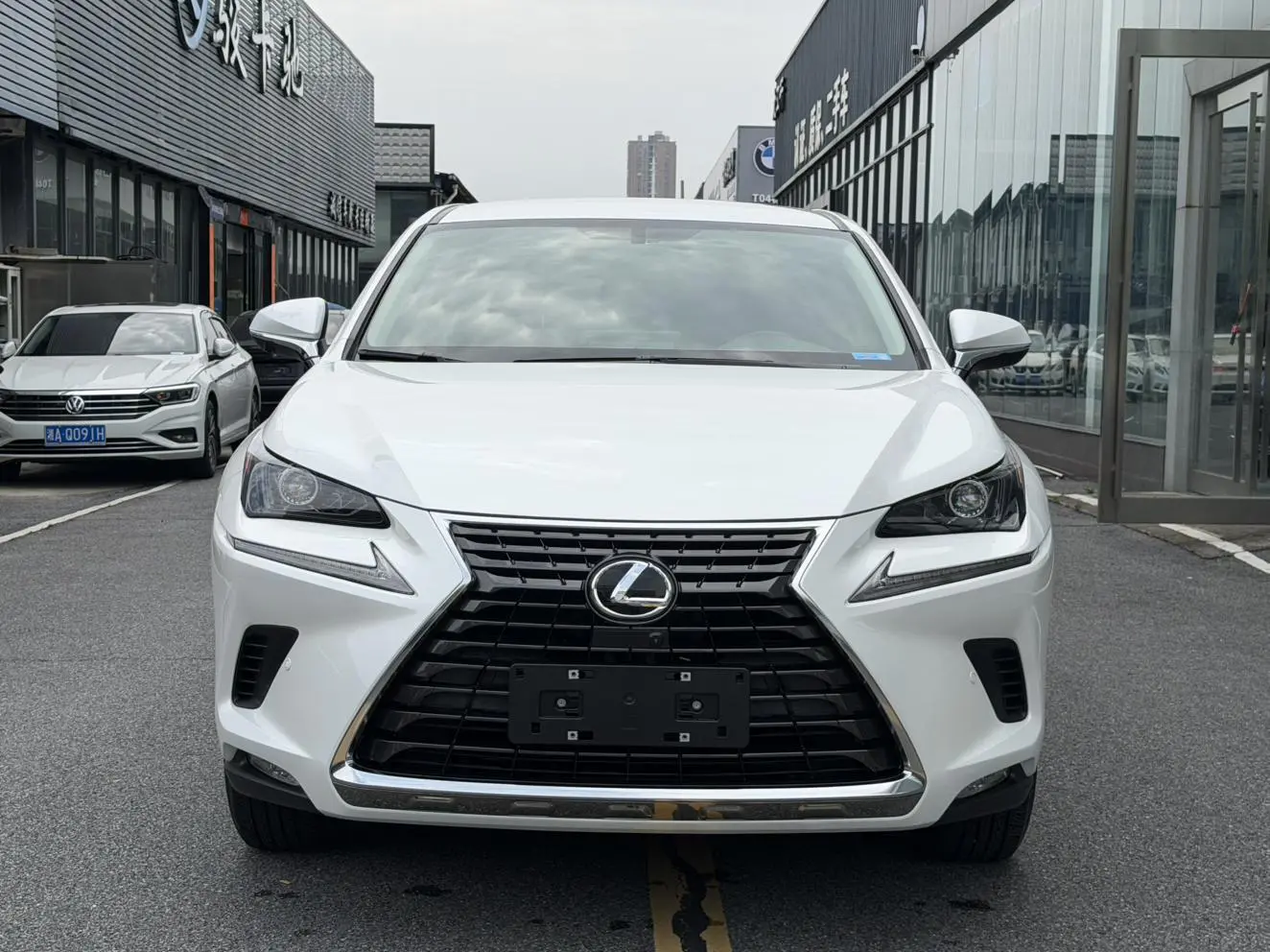 Lexus Lexus NX 200 front drive Fengyi Edition Country VI