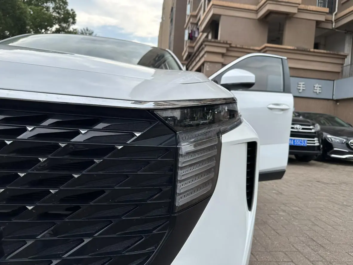 Venucia Qichen Big V 260T King Edition