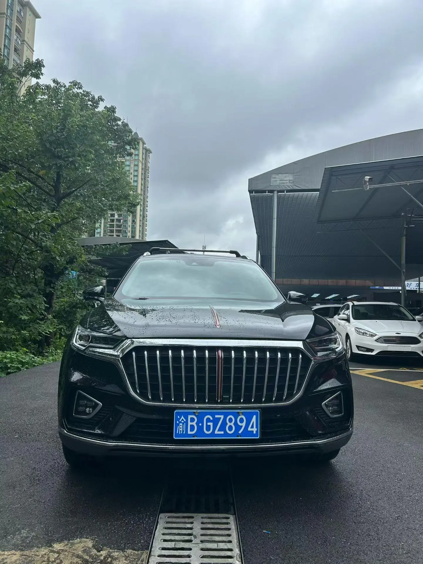 Hongqi Hongqi HS5 2.0T Zhilian Flag Enjoy Edition