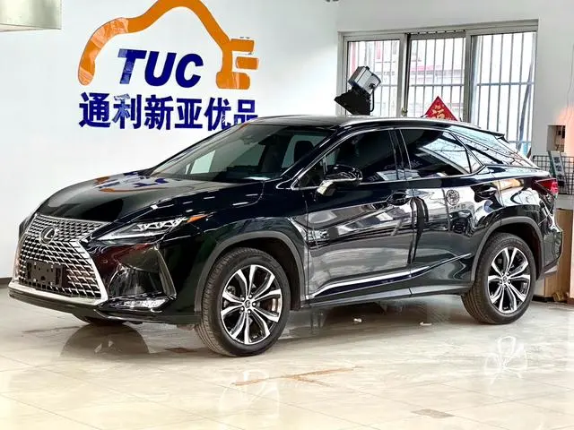 Lexus Lexus RX 300 four-wheel drive Special Edition