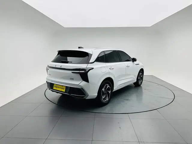 Hongqi Hongqi HS3 1.5T Shanwei Edition