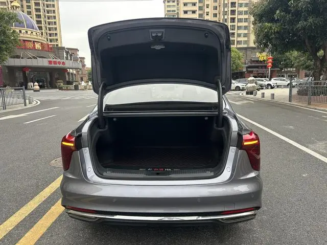 Hongqi Hongqi H5 2.0T Automatic Zhilian Qichang Version
