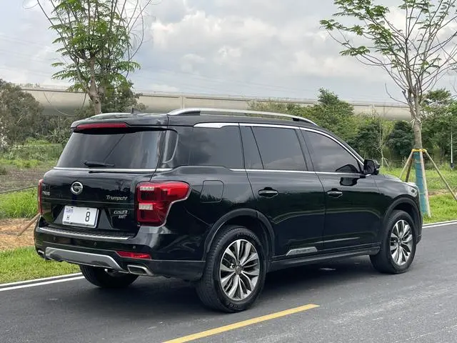 GAC Trumpchi GS8 320T two-wheel drive luxury Zhilian Edition 7 seats