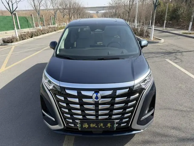 Denza Denza D9 DM 980 four-wheel drive flagship