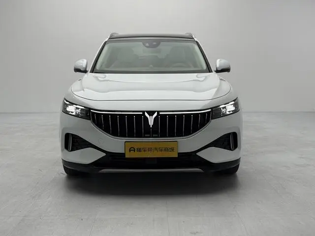 VOYAH Lan Tu FREE Four-wheel drive standard range extension exclusive luxury set