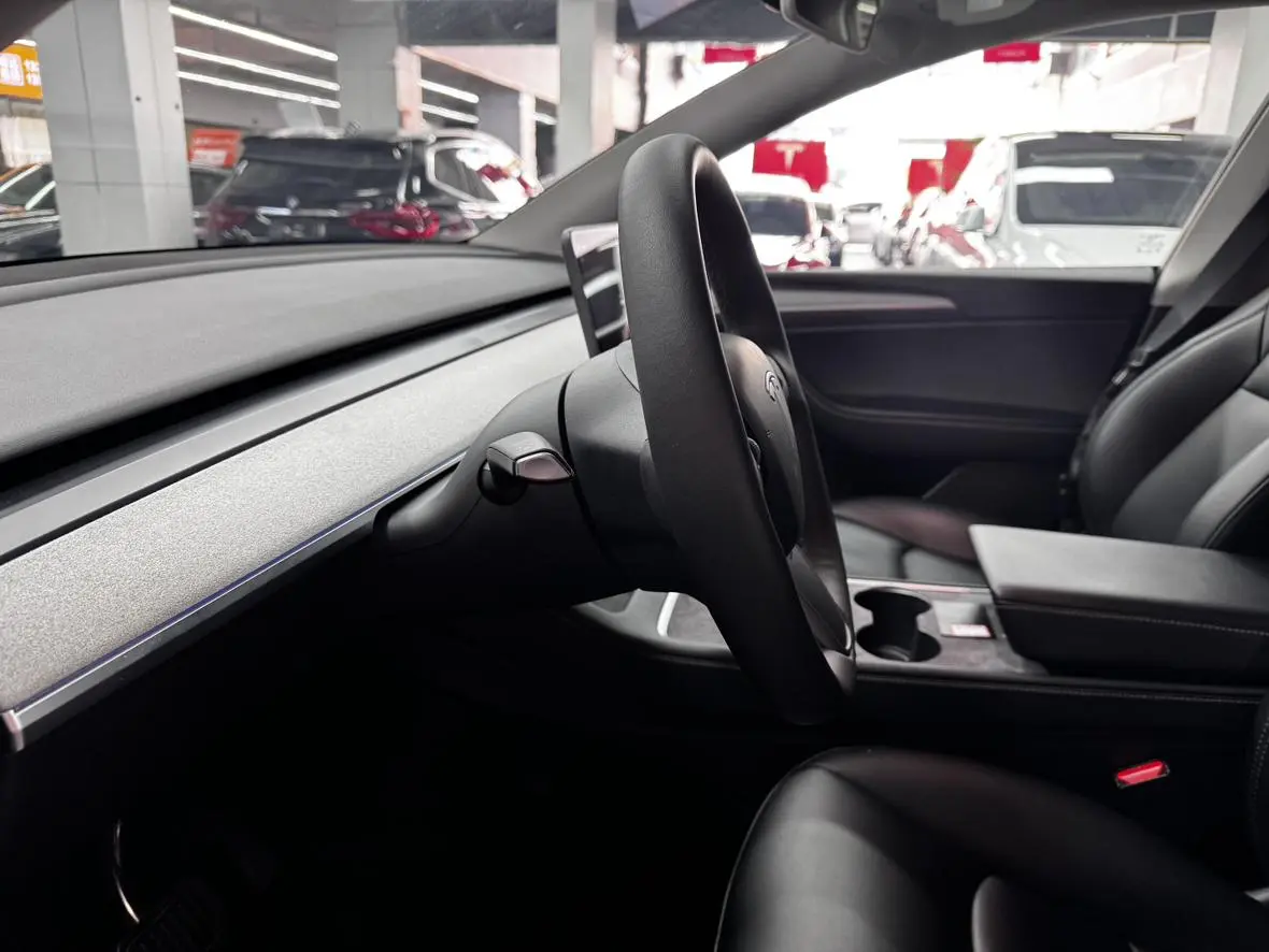 Tesla Model Y Rear-wheel drive version