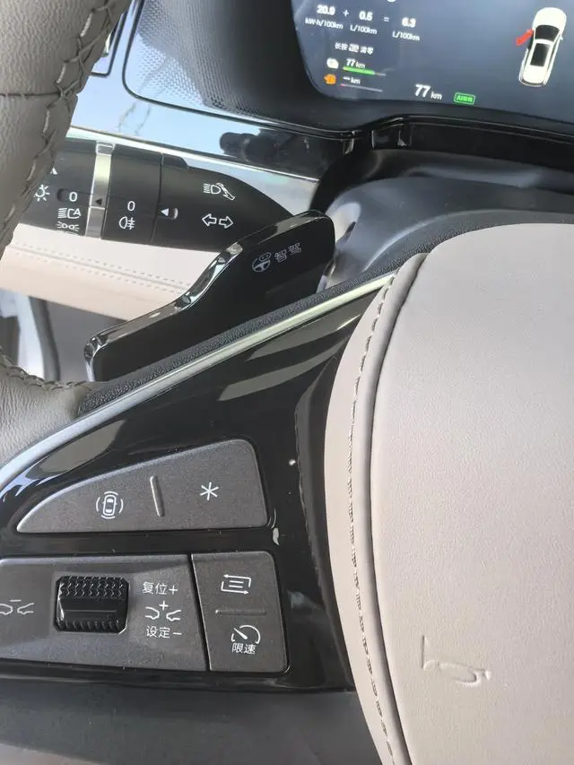 BYD Tang DM Smart driving version DM-i 115KM flagship model