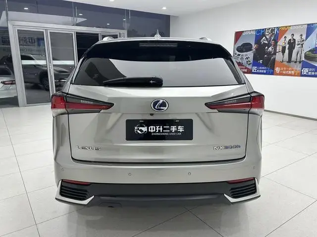 Lexus Lexus NX 300h front drive Fengshang version Country V
