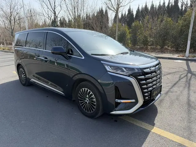 Denza Denza D9 DM 980 four-wheel drive flagship