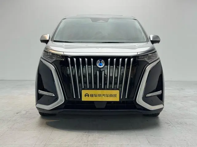 Denza Denza D9 EV 600 four-wheel drive flagship