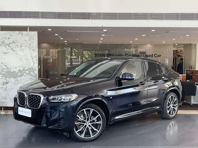 BMW BMW X4 xDrive 30i M Sports Yao Ye Set