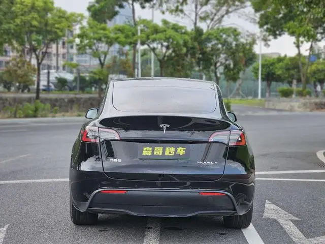 Tesla Model Y Standard battery life, rear-wheel drive version