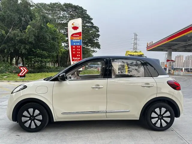 Wuling Wuling Bingguo 333KM Yuexiang model