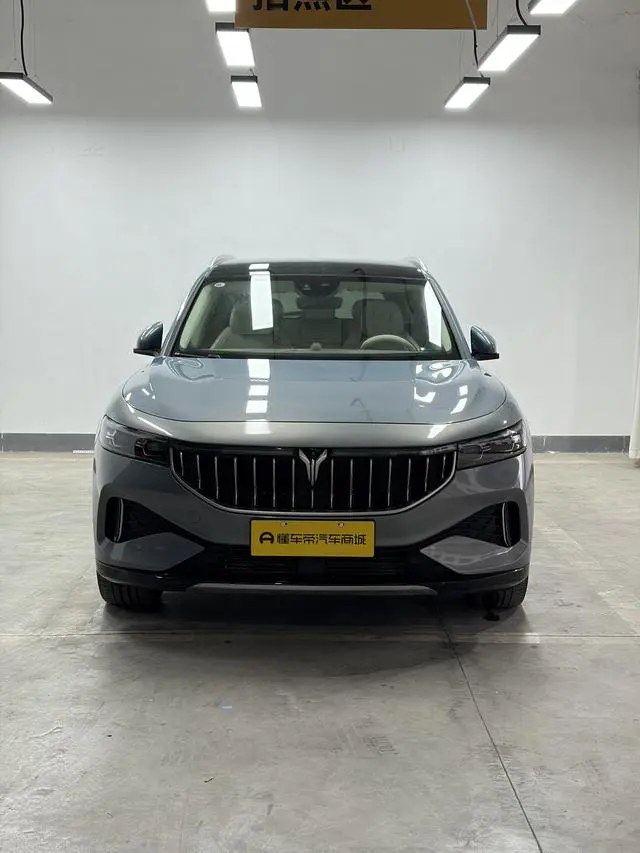 VOYAH Lan Tu FREE Four-wheel drive standard range extension exclusive luxury set