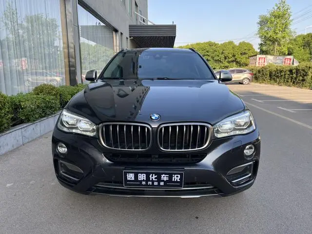 BMW BMW X6 xDrive35i Exclusive type
