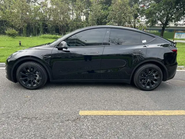 Tesla Model Y Long battery life all-wheel drive version