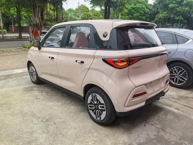 Chery Fulwin Domi 305km comfort type