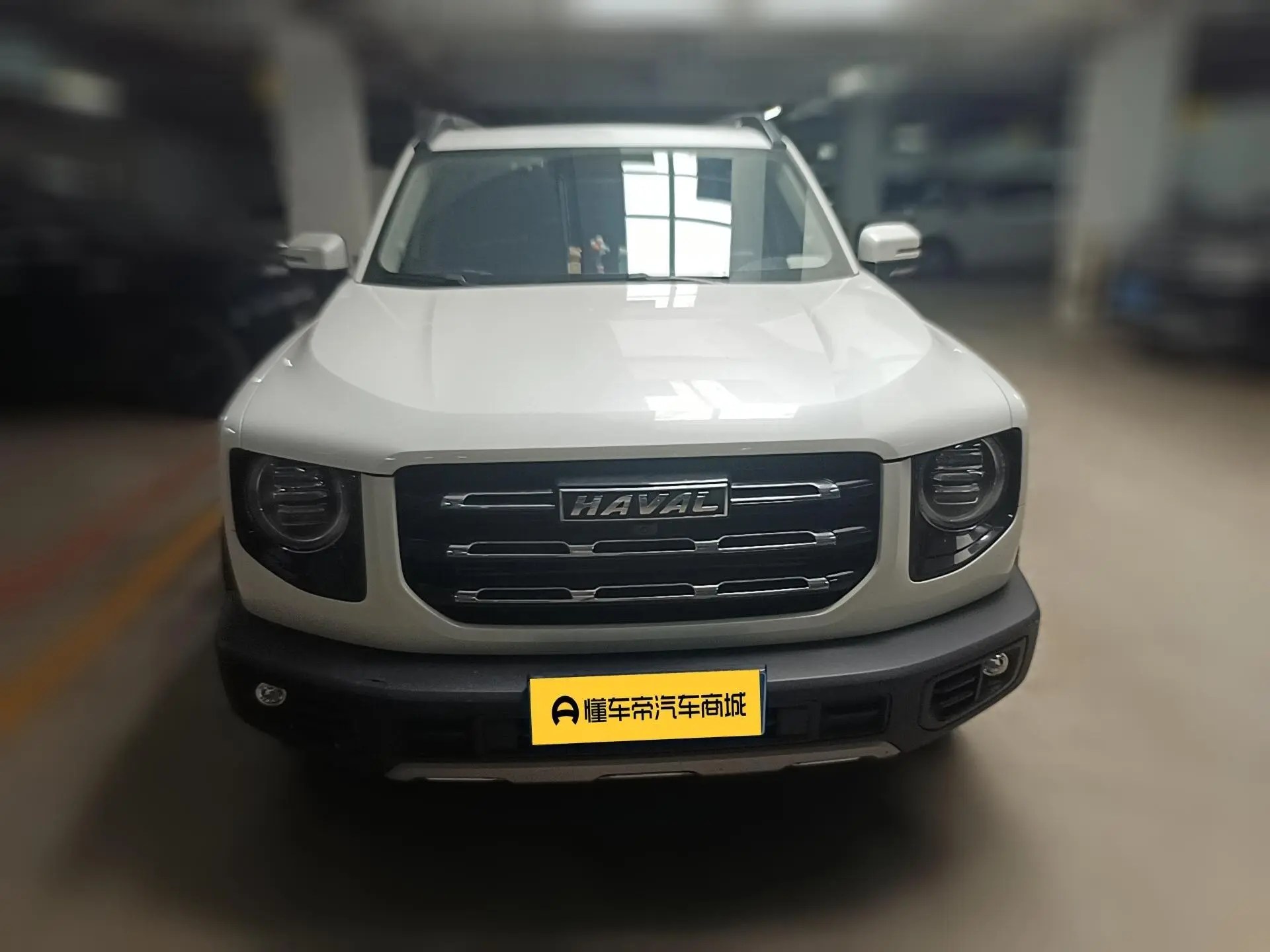 Haval Haval Big Dog 1.5T two-wheel drive Labrador version
