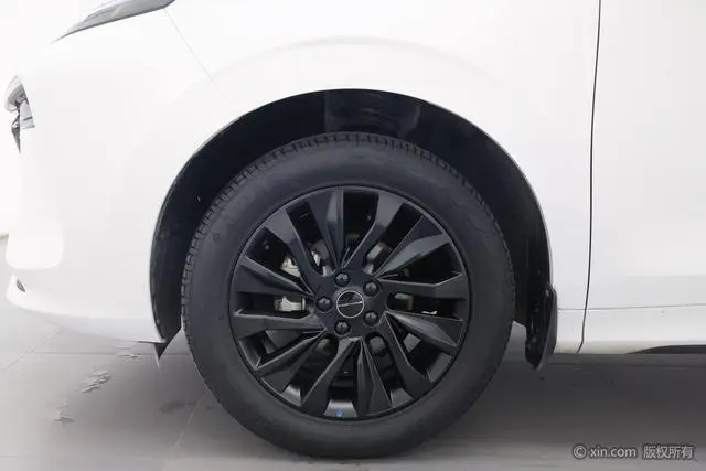Dongfeng Fengxing Popular T5 EVO 1.5TD DCT Diamond Edition