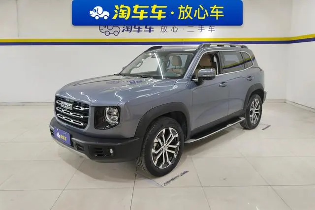 Haval Haval Big Dog 1.5T two-wheel drive horse dog-Wangcai Edition