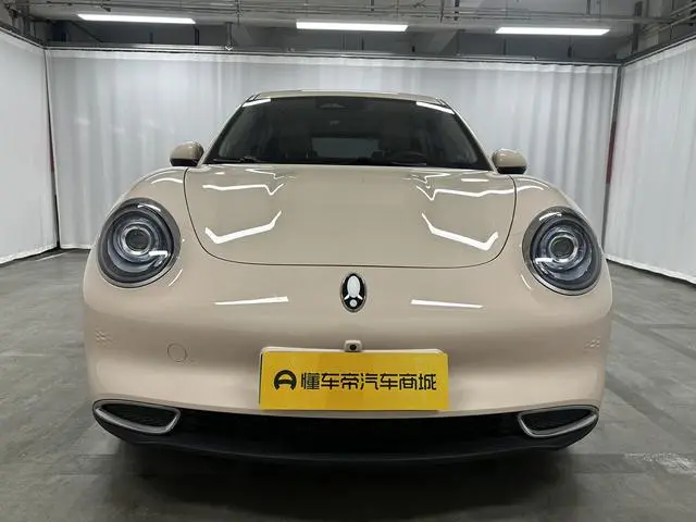 Ora Euler good cat 401km standard battery life luxury lithium iron phosphate