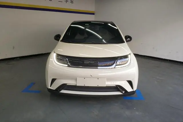 BYD dolphin Fashion edition