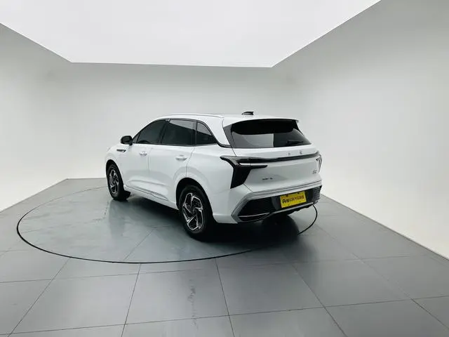 Hongqi Hongqi HS3 1.5T Shanwei Edition