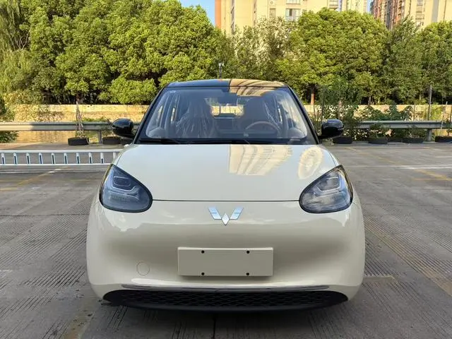 Wuling Wuling Bingguo 333KM Yuexiang model