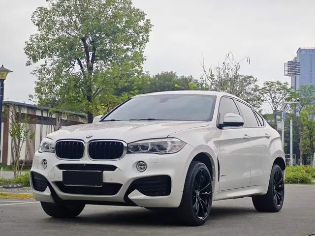 BMW BMW X6 xDrive35i M sports suit