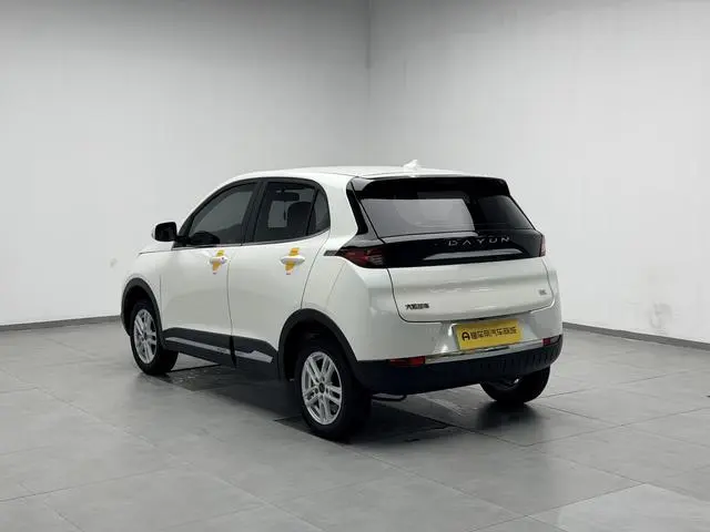 Dayun Yuehu 300 Standard Edition