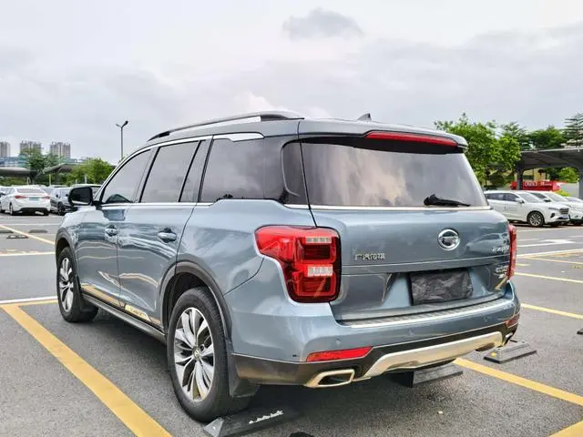 GAC Trumpchi GS8 320T two-wheel drive premium edition 7 seats
