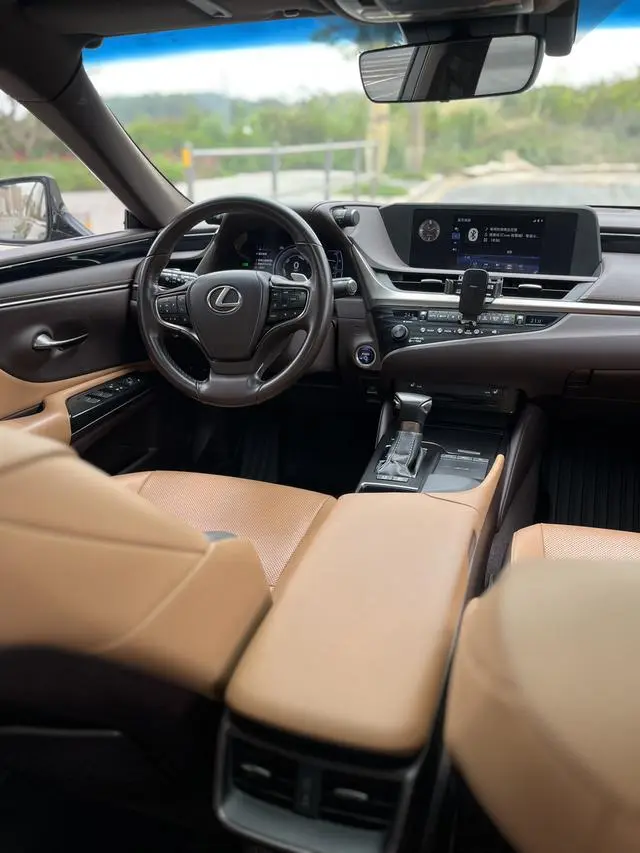 Lexus Lexus ES 300h Excellent Edition Country VI