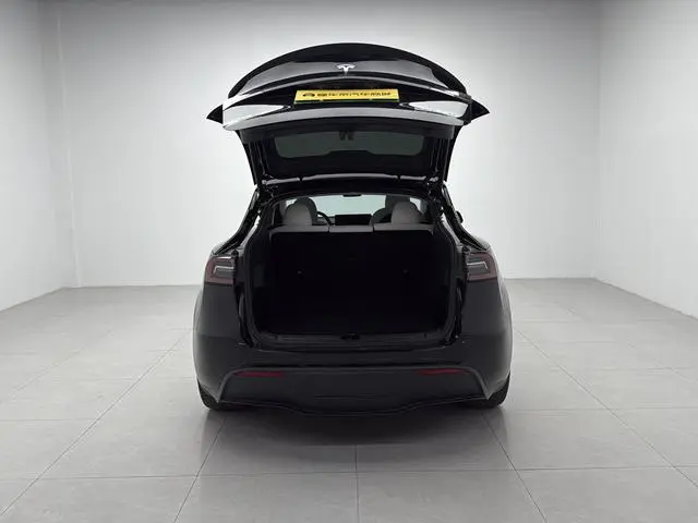 Tesla Model Y Performance high-performance all-wheel drive version