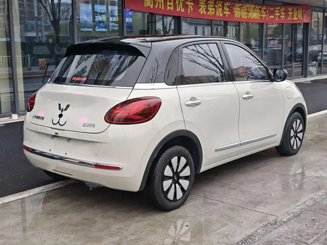 Wuling Wuling Bingguo 410KM Lingyi Exclusive Model