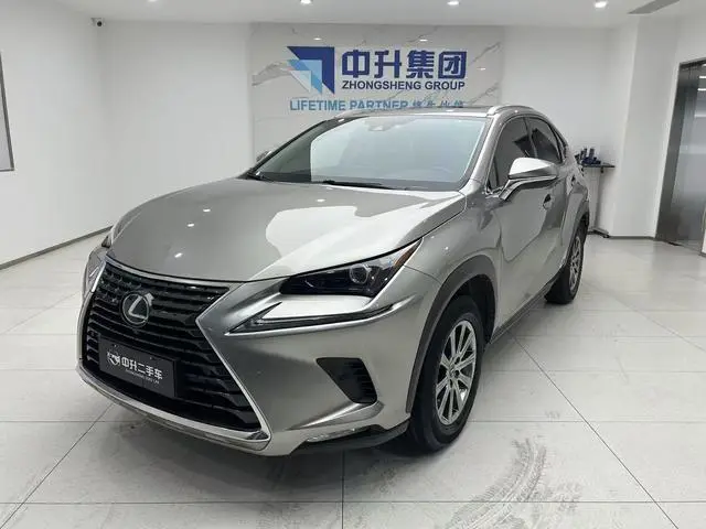 Lexus Lexus NX 300h front drive Fengshang version Country V