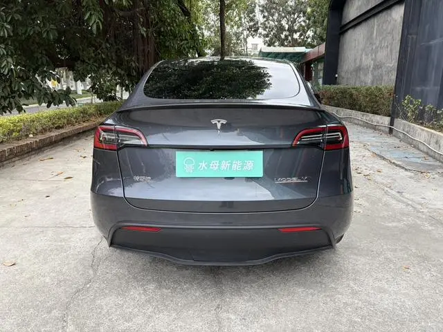 Tesla Model Y Performance high-performance all-wheel drive version