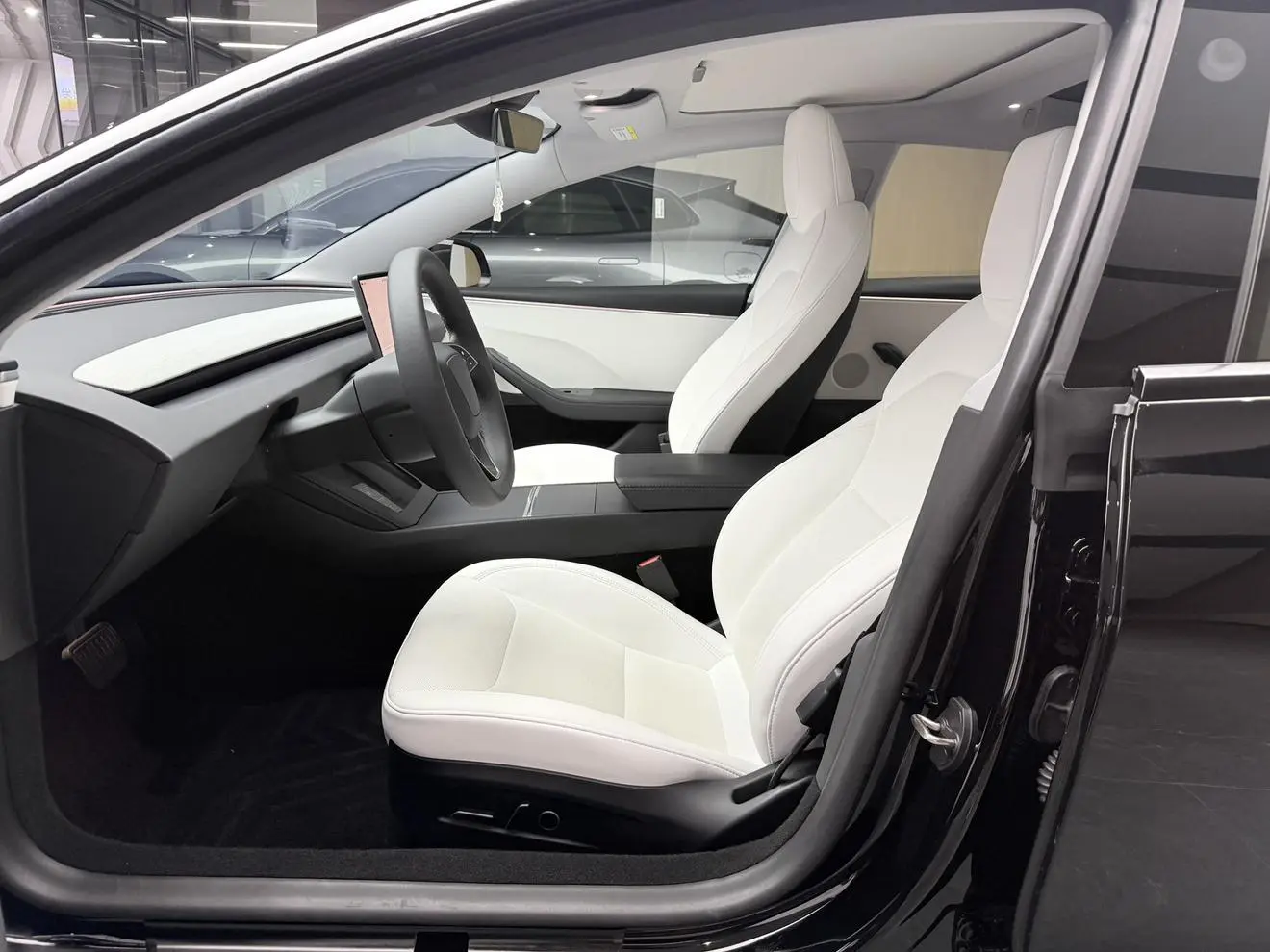 Tesla Model 3 Rear-wheel drive version