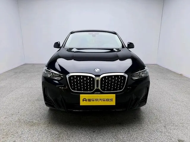 BMW BMW X4 xDrive 25i M sports suit