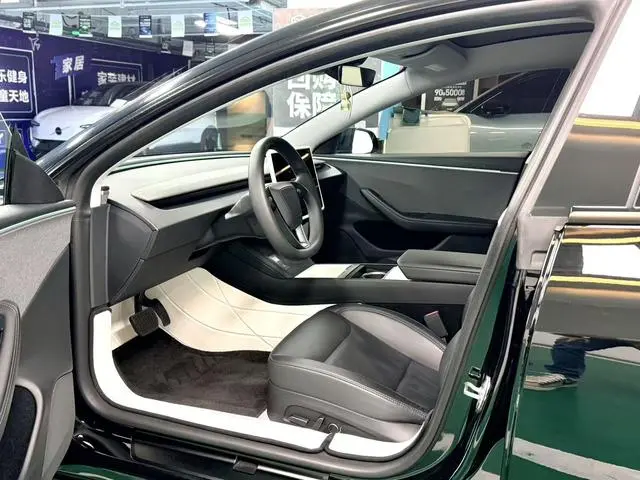 Tesla Model 3 Rear-wheel drive version