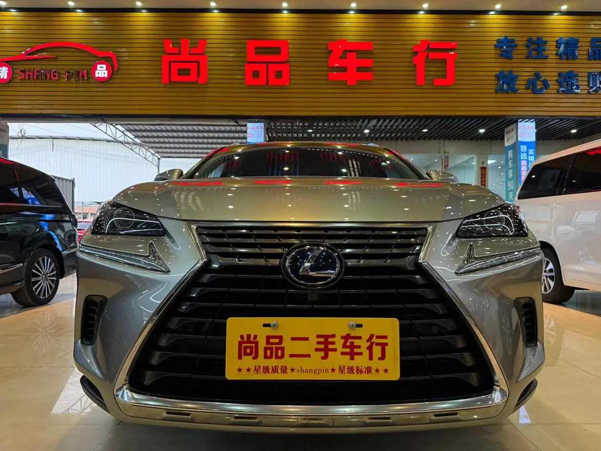 Lexus Lexus NX 300h front drive Fengshang version Country VI