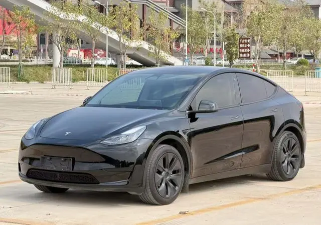 Tesla Model Y Rear-wheel drive version